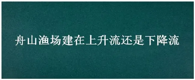 舟山渔场建在上升流还是下降流 | 三农问答