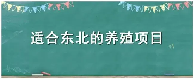 适合东北的养殖项目 | 科普知识