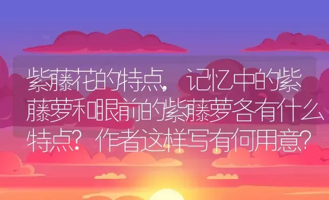 紫藤花的特点,记忆中的紫藤萝和眼前的紫藤萝各有什么特点?作者这样写有何用意？ | 养殖常见问题