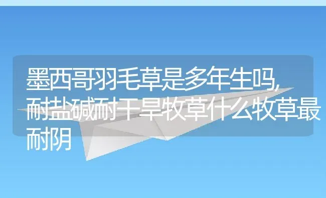 墨西哥羽毛草是多年生吗,耐盐碱耐干旱牧草什么牧草最耐阴 | 养殖常见问题