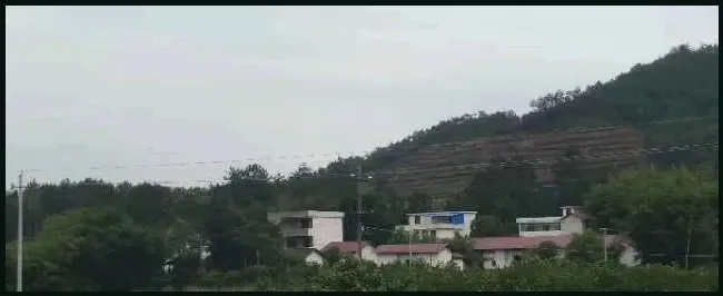 高丽菜是什么菜 | 生活常识