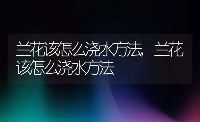 兰花该怎么浇水方法,兰花该怎么浇水方法 | 养殖常见问题