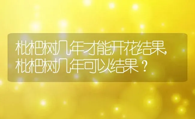 枇杷树几年才能开花结果,枇杷树几年可以结果？ | 养殖常见问题