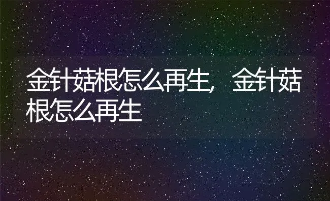 金针菇根怎么再生,金针菇根怎么再生 | 养殖常见问题