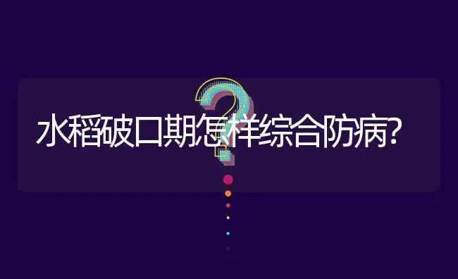 水稻破口期怎样综合防病? | 养殖问题解答