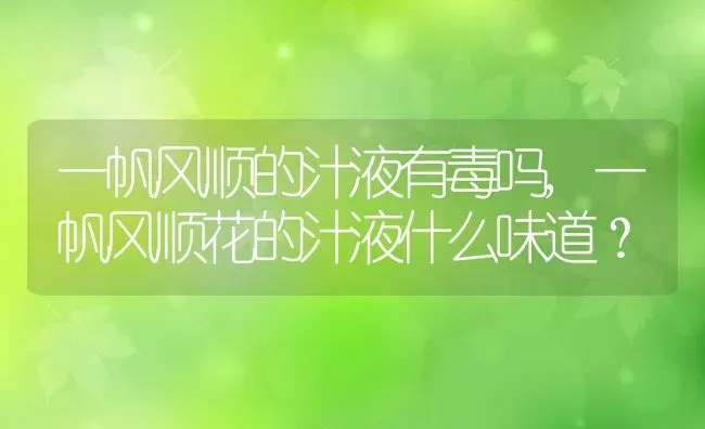 一帆风顺的汁液有毒吗,一帆风顺花的汁液什么味道？ | 养殖常见问题