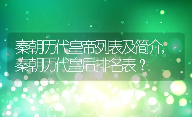 秦朝历代皇帝列表及简介,秦朝历代皇后排名表？ | 养殖常见问题