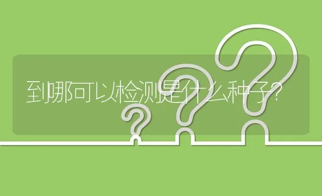 到哪可以检测是什么种子? | 养殖问题解答