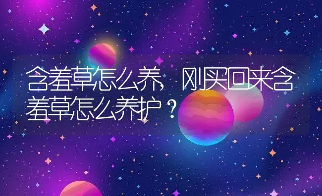 含羞草怎么养,刚买回来含羞草怎么养护？ | 养殖常见问题