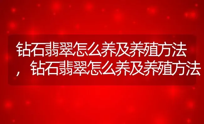 钻石翡翠怎么养及养殖方法,钻石翡翠怎么养及养殖方法 | 养殖常见问题