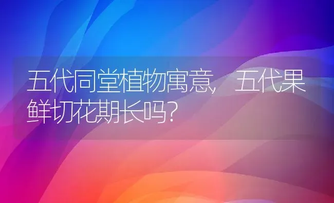 五代同堂植物寓意,五代果鲜切花期长吗？ | 养殖常见问题