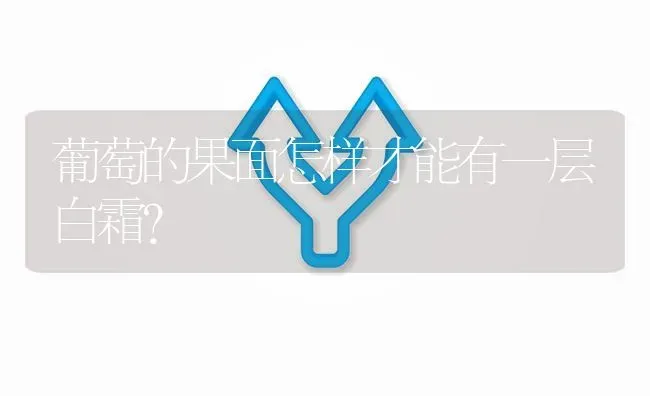 葡萄的果面怎样才能有一层白霜? | 养殖问题解答