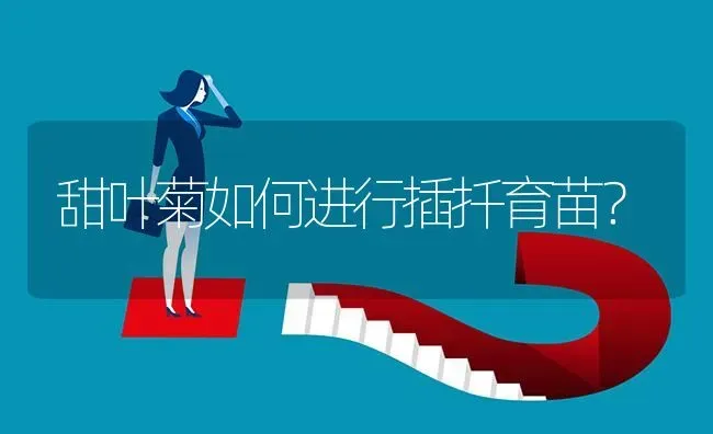 甜叶菊如何进行插扦育苗? | 养殖问题解答