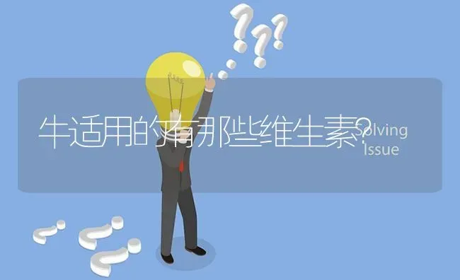 牛适用的有那些维生素? | 养殖问题解答