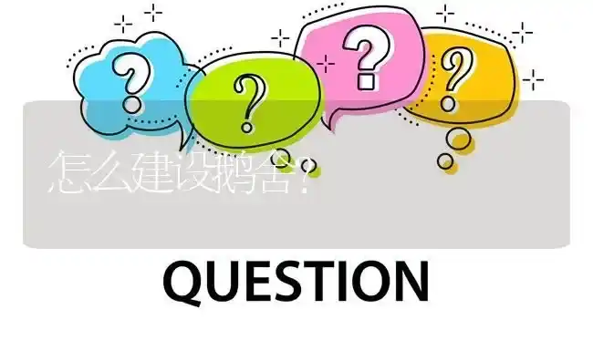 怎么建设鹅舍? | 养殖问题解答