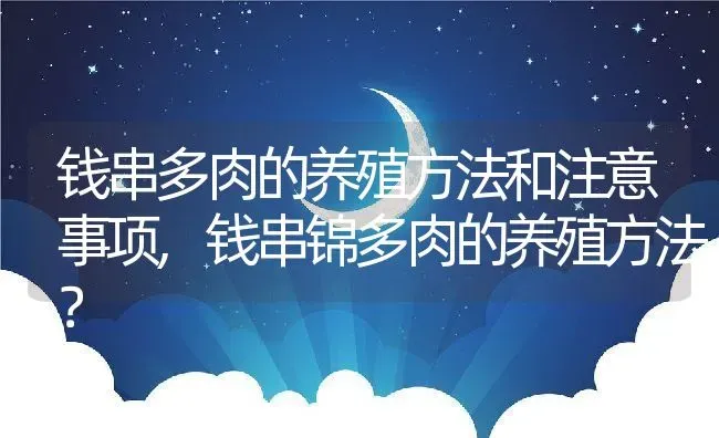 钱串多肉的养殖方法和注意事项,钱串锦多肉的养殖方法？ | 养殖常见问题