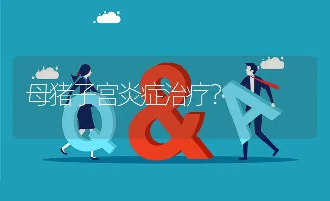 母猪子宫炎症治疗? | 养殖问题解答