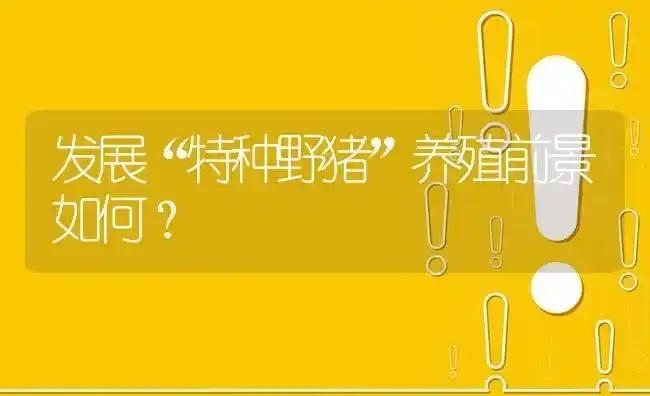 发展“特种野猪”养殖前景如何? | 养殖问题解答