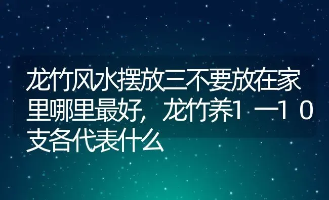 龙竹风水摆放三不要放在家里哪里最好,龙竹养1一10支各代表什么 | 养殖常见问题