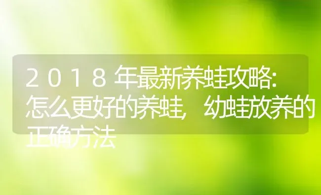 2018年最新养蛙攻略:怎么更好的养蛙,幼蛙放养的正确方法 | 养殖常见问题