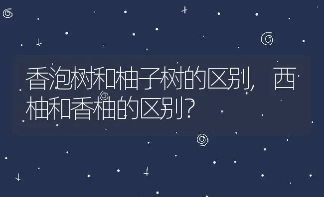 香泡树和柚子树的区别,西柚和香柚的区别？ | 养殖常见问题