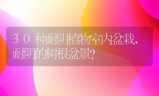 30种耐阴植物室内盆栽,耐阴的树根盆景？ | 养殖常见问题