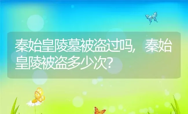 秦始皇陵墓被盗过吗,秦始皇陵被盗多少次？ | 养殖常见问题