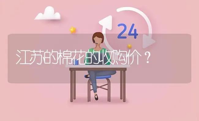 江苏的棉花的收购价? | 养殖问题解答