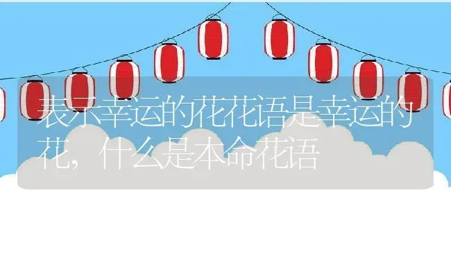 表示幸运的花花语是幸运的花,什么是本命花语 | 养殖常见问题