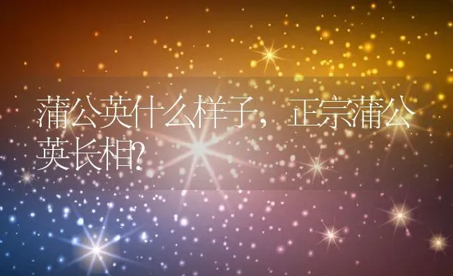 蒲公英什么样子,正宗蒲公英长相？ | 养殖常见问题