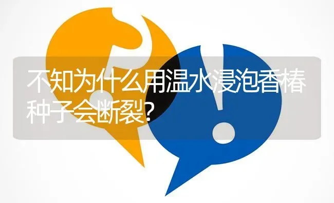 不知为什么用温水浸泡香椿种子会断裂? | 养殖问题解答