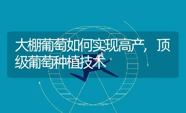 大棚葡萄如何实现高产,顶级葡萄种植技术 | 养殖常见问题