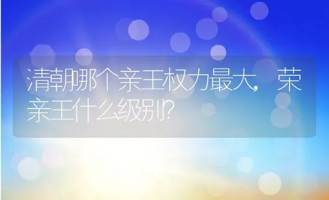 清朝哪个亲王权力最大,荣亲王什么级别？ | 养殖常见问题