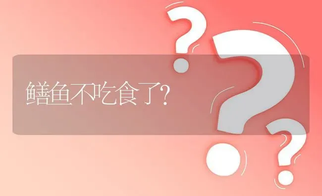 鳝鱼不吃食了? | 养殖问题解答