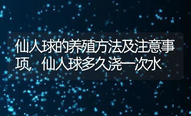 仙人球的养殖方法及注意事项,仙人球多久浇一次水 | 养殖常见问题