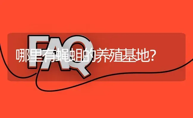 哪里有蝇蛆的养殖基地? | 养殖问题解答