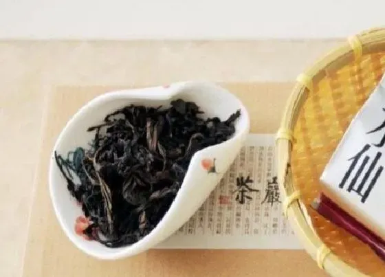 植物常识问题|武夷岩茶的功效与作用