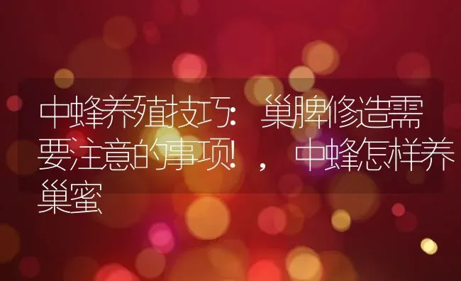 中蜂养殖技巧:巢脾修造需要注意的事项!,中蜂怎样养巢蜜 | 养殖常见问题