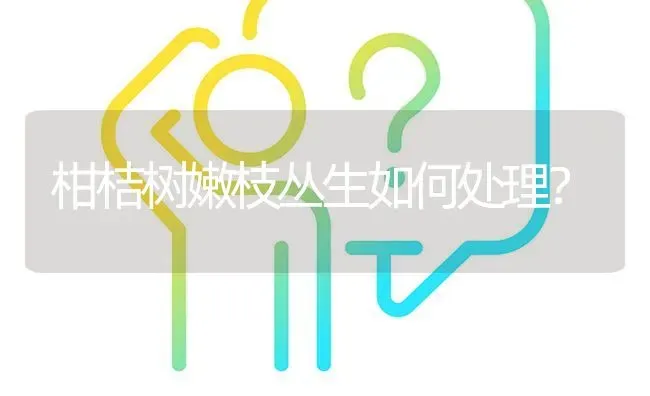 柑桔树嫩枝丛生如何处理? | 养殖问题解答