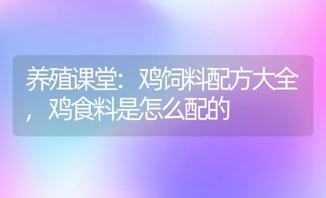 养殖课堂:鸡饲料配方大全,鸡食料是怎么配的 | 养殖常见问题