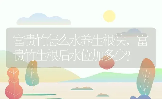 富贵竹怎么水养生根快,富贵竹生根后水位加多少？ | 养殖常见问题