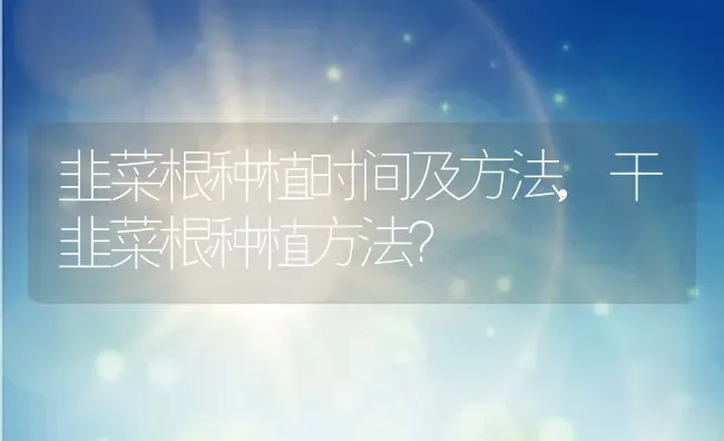 韭菜根种植时间及方法,干韭菜根种植方法？ | 养殖常见问题