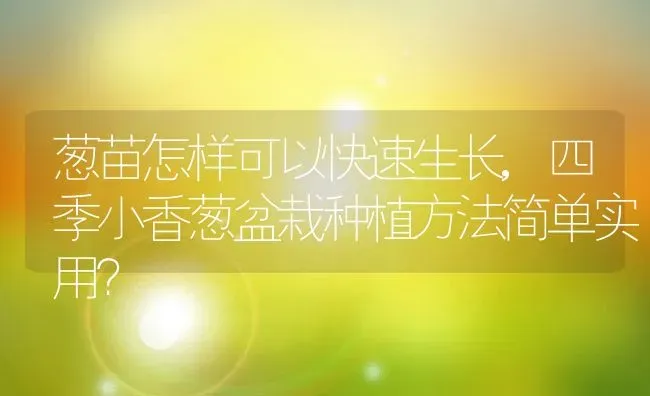 葱苗怎样可以快速生长,四季小香葱盆栽种植方法简单实用？ | 养殖常见问题