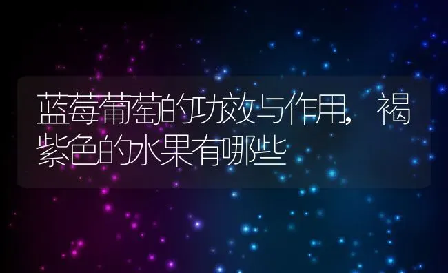 蓝莓葡萄的功效与作用,褐紫色的水果有哪些 | 养殖常见问题