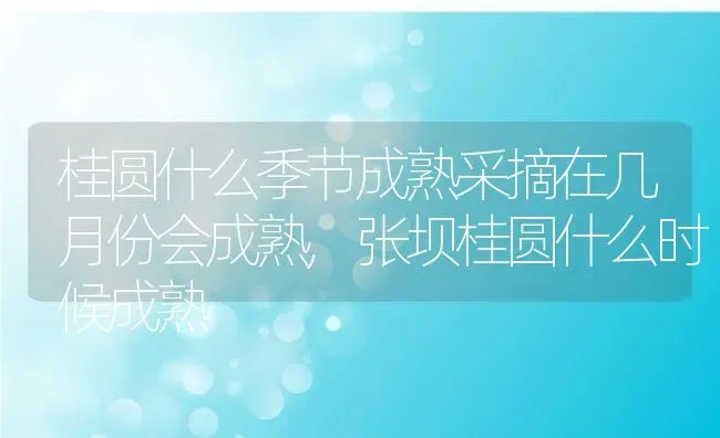 桂圆什么季节成熟采摘在几月份会成熟,张坝桂圆什么时候成熟 | 养殖常见问题