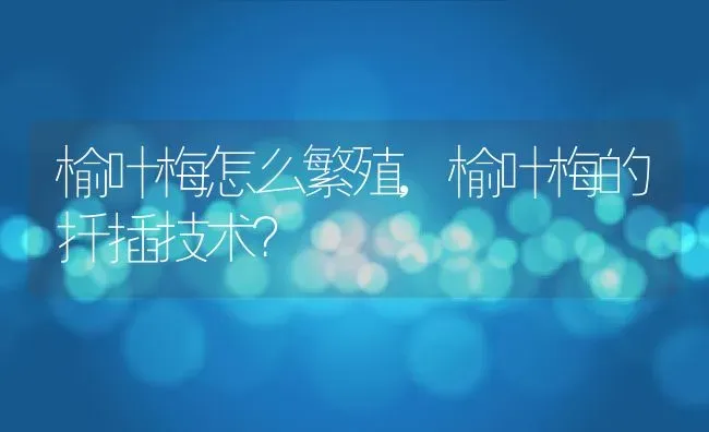 榆叶梅怎么繁殖,榆叶梅的扦插技术？ | 养殖常见问题