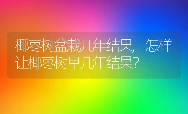 椰枣树盆栽几年结果,怎样让椰枣树早几年结果？ | 养殖常见问题