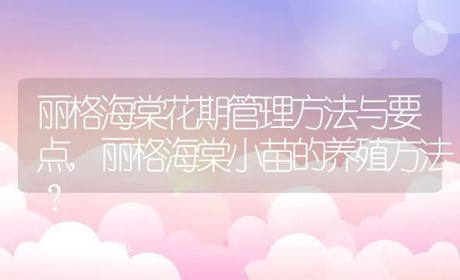 丽格海棠花期管理方法与要点,丽格海棠小苗的养殖方法？ | 养殖常见问题