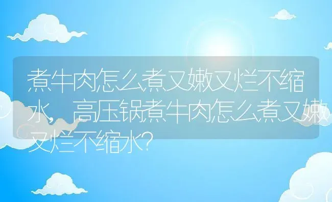 煮牛肉怎么煮又嫩又烂不缩水,高压锅煮牛肉怎么煮又嫩又烂不缩水？ | 养殖常见问题