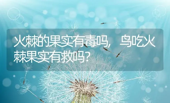 火棘的果实有毒吗,鸟吃火棘果实有救吗？ | 养殖常见问题